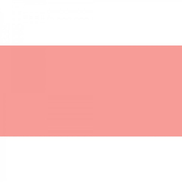 Polychromos Artist Pencil Coral ( Medium Flesh ) 131