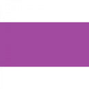 Polychromos Artist Pencil Crimson 134