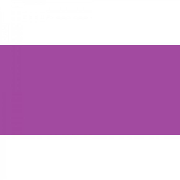 Polychromos Artist Pencil Crimson 134