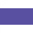 Polychromos Artist Pencil BLUE VIOLET 137