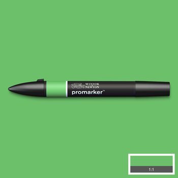 Grass green colour Winsor & Newton Promarker alcohol pen, perfect for fine artists and illustrators. New design pens with a double end, each pen has a fine bullet point and a broad chisel nib, which allows you to easily switch between shading larger areas and precision detailing. Superb alcohol-based streak-free coverage so you can achieve flawless, print-like results.  