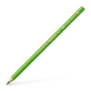 Polychromos Artist Pencil Grass Green 166