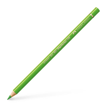 Polychromos Artist Pencil Grass Green 166