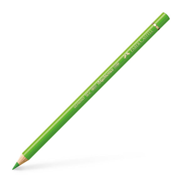 Polychromos Artist Pencil Grass Green 166
