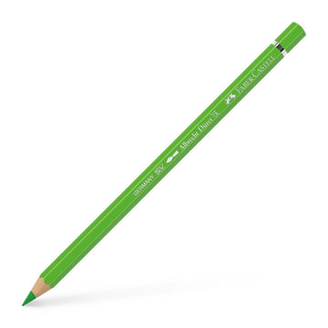 Albrecht Dürer Artist Pencil Grass Green 166