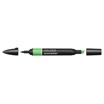 Grass green colour Winsor & Newton Promarker alcohol pen, perfect for fine artists and illustrators. New design pens with a double end, each pen has a fine bullet point and a broad chisel nib, which allows you to easily switch between shading larger areas and precision detailing. Superb alcohol-based streak-free coverage so you can achieve flawless, print-like results.  
