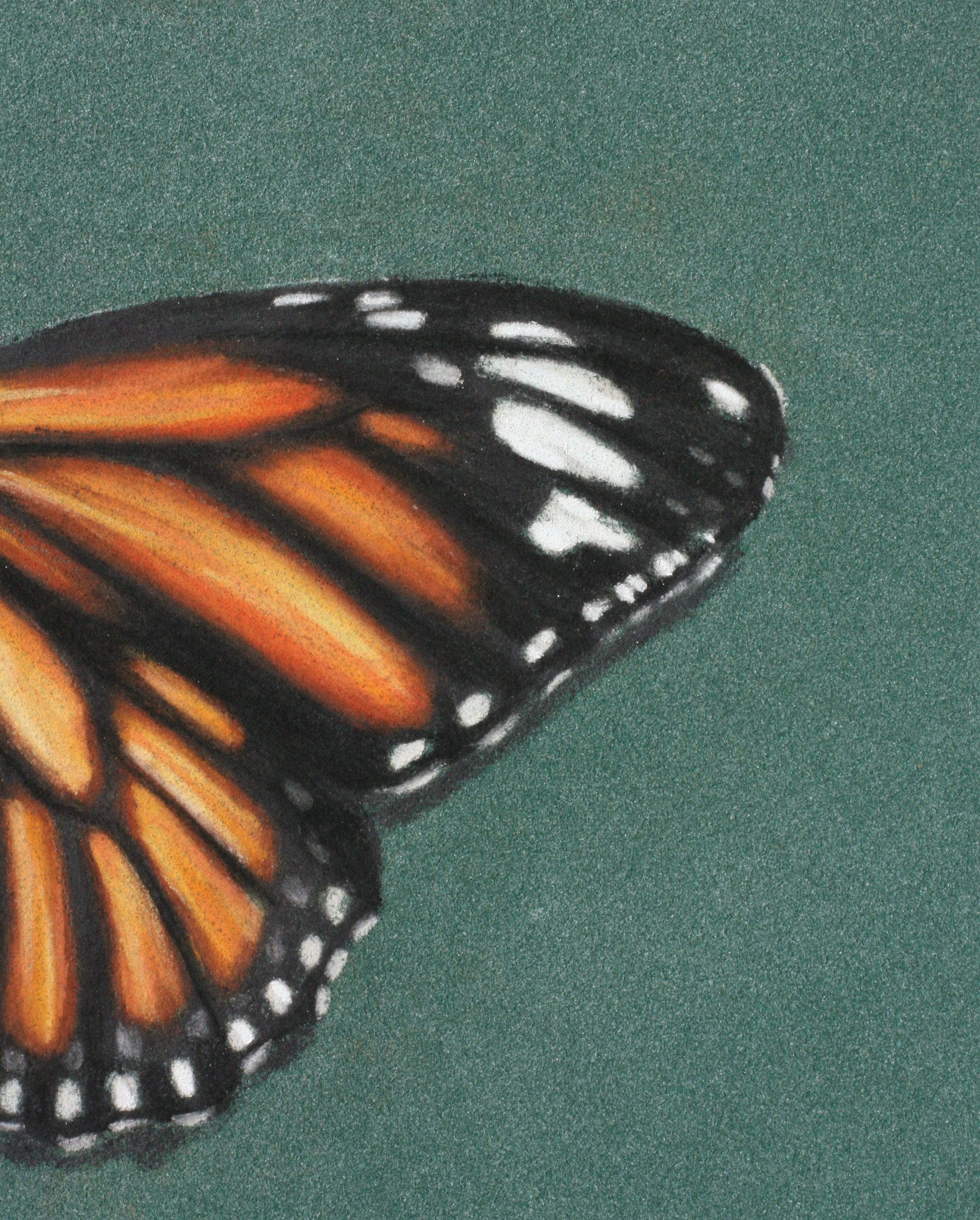Pastels with Emily Rose Artist : Free Monarch Butterfly tutorial