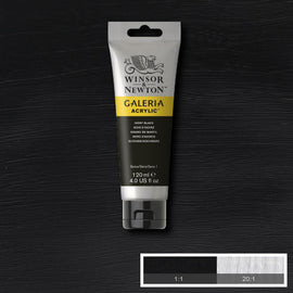 Winsor & Newton Galeria Acrylic Ivory Black 120ml