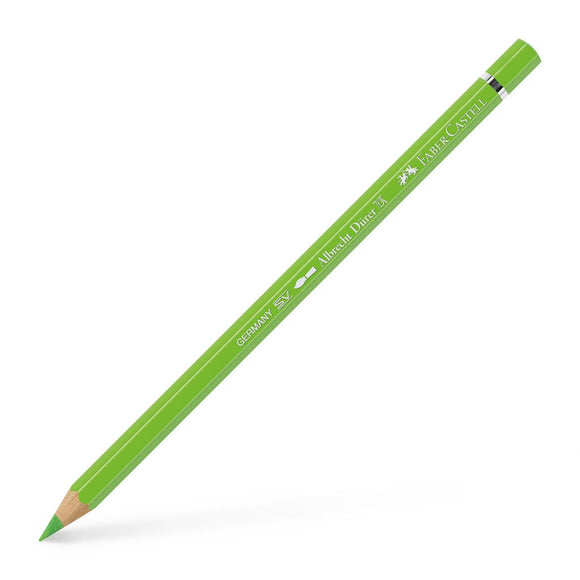 Albrecht Dürer Artist Pencil Light Green 171