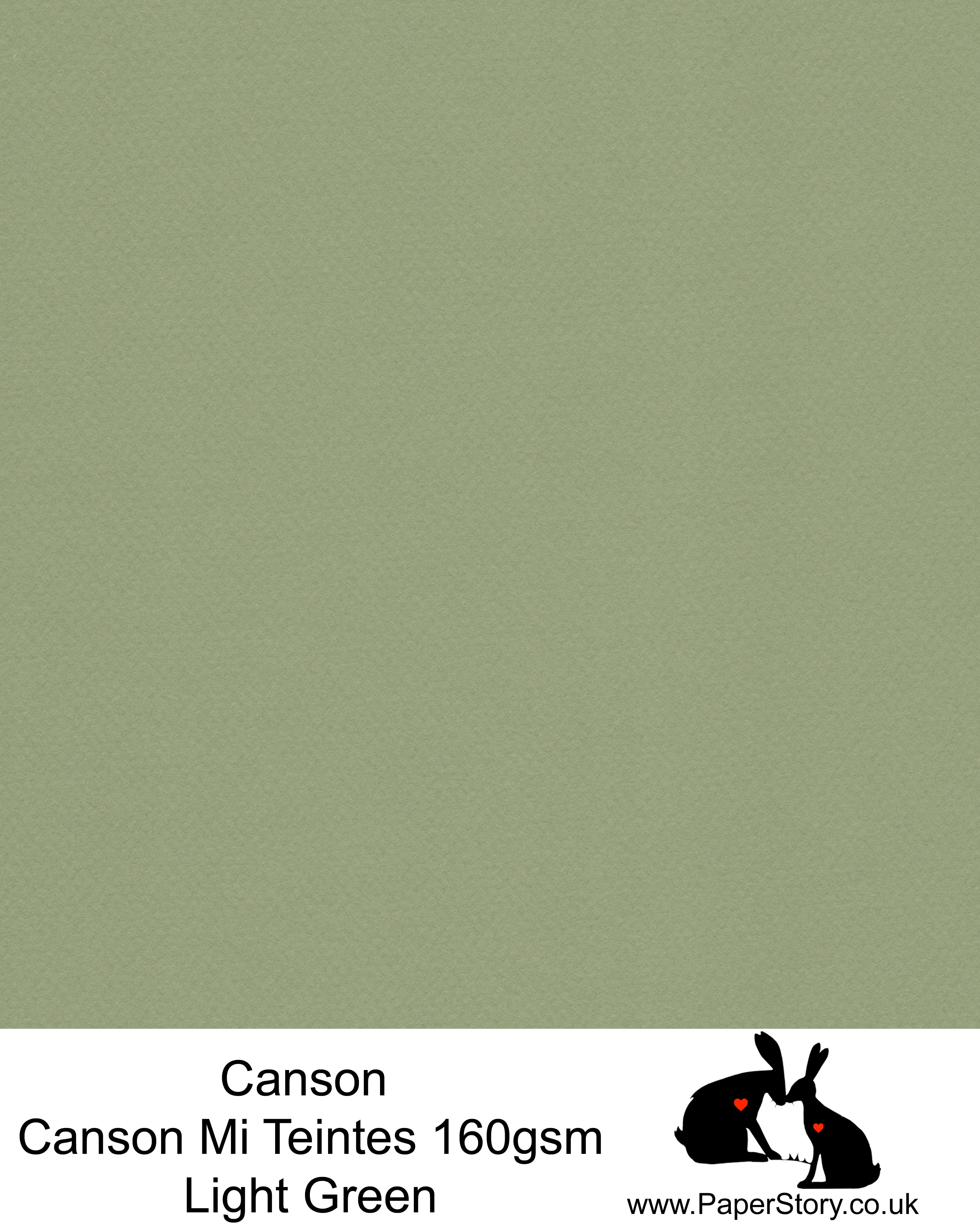Canson Mi Teintes acid free, Champagne, soft light green hammered texture honeycomb surface paper 160 gsm. This is a popular and classic paper for all artists especially well respected for Pastel  and Papercutting made famous by Paper Panda. This paper has a honeycombed finish one side and fine grain the other. An authentic art paper, acid free with a  very high 50% cotton content. Canson Mi-Teintes complies with the ISO 9706 standard on permanence, a guarantee of excellent conservation 