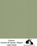 Canson Mi Teintes acid free, Champagne, soft light green hammered texture honeycomb surface paper 160 gsm. This is a popular and classic paper for all artists especially well respected for Pastel  and Papercutting made famous by Paper Panda. This paper has a honeycombed finish one side and fine grain the other. An authentic art paper, acid free with a  very high 50% cotton content. Canson Mi-Teintes complies with the ISO 9706 standard on permanence, a guarantee of excellent conservation 