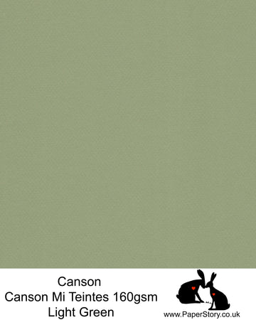 Canson Mi Teintes acid free, Champagne, soft light green hammered texture honeycomb surface paper 160 gsm. This is a popular and classic paper for all artists especially well respected for Pastel  and Papercutting made famous by Paper Panda. This paper has a honeycombed finish one side and fine grain the other. An authentic art paper, acid free with a  very high 50% cotton content. Canson Mi-Teintes complies with the ISO 9706 standard on permanence, a guarantee of excellent conservation 