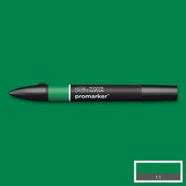 Lush Green colour Winsor & Newton Promarker alcohol pen, perfect for fine artists and illustrators. New design pens with a double end, each pen has a fine bullet point and a broad chisel nib, which allows you to easily switch between shading larger areas and precision detailing. Superb alcohol-based streak-free coverage so you can achieve flawless, print-like results.  