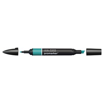 Marine Green colour Winsor & Newton Promarker alcohol pen, perfect for fine artists and illustrators. New design pens with a double end, each pen has a fine bullet point and a broad chisel nib, which allows you to easily switch between shading larger areas and precision detailing. Superb alcohol-based streak-free coverage so you can achieve flawless, print-like results.  