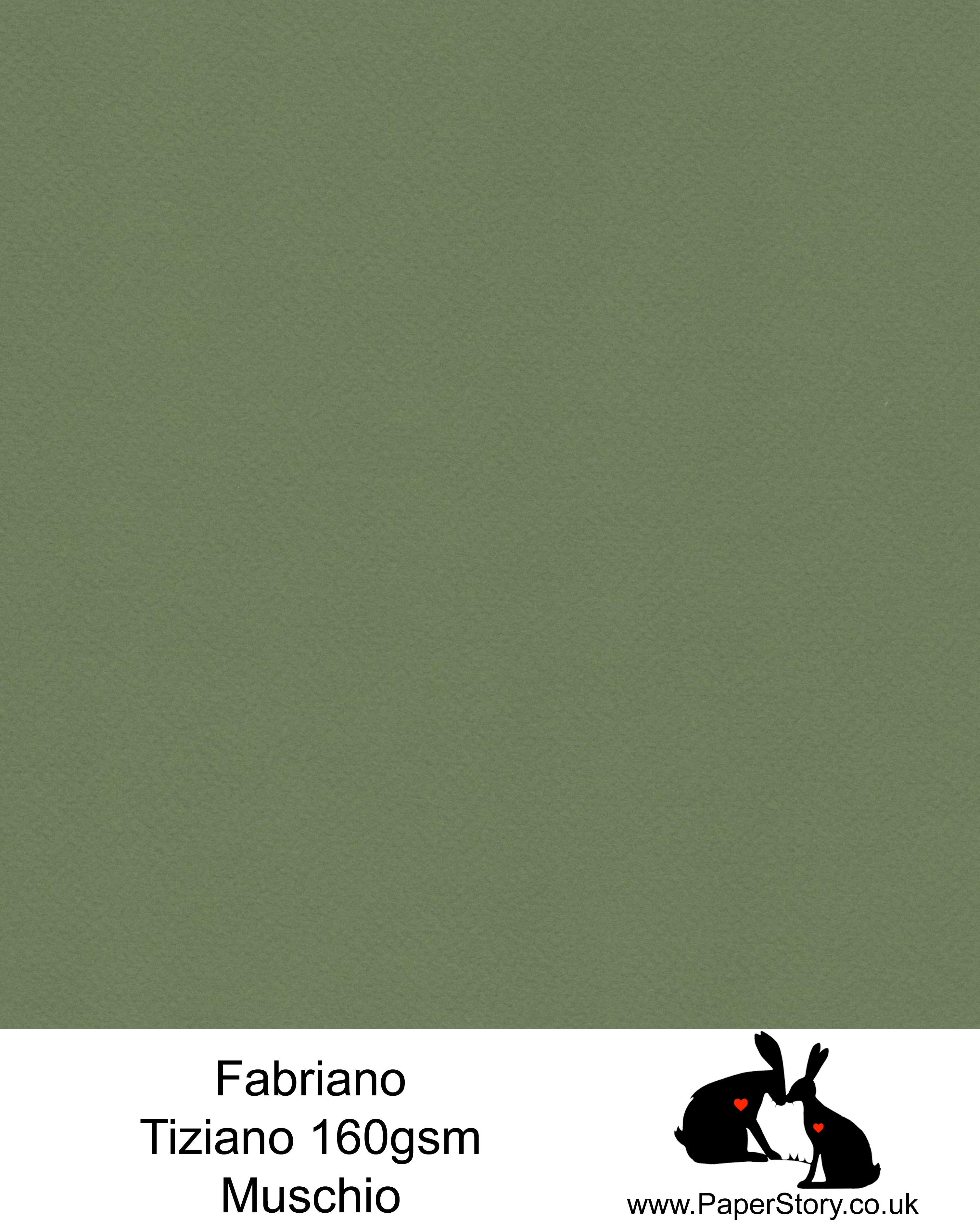 High quality paper from Italy, Muschio Moss Green. Fabriano Tiziano is 160 gsm, Tiziano has a high cotton content, a textured naturally sized surface. This paper is acid free to guarantee long permanence in time, pH neutral. It has highly lightfast colours, an excellent surface making and sizing which make this paper particularly suitable for papercutting, pastels, pencil, graphite, charcoal, tempera, air brush and watercolour techniques. Tiziano can be used for all printing techniques.