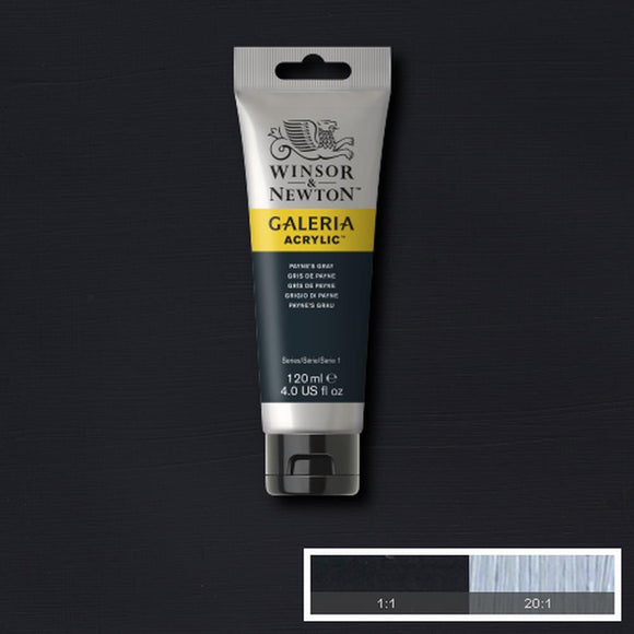 Winsor & Newton Galeria Acrylic Payne's Grey 120ml