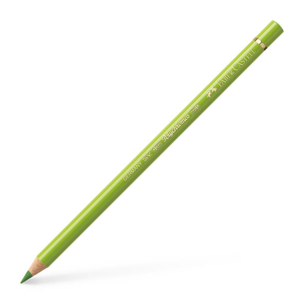 Polychromos Artist Pencil May Green 170