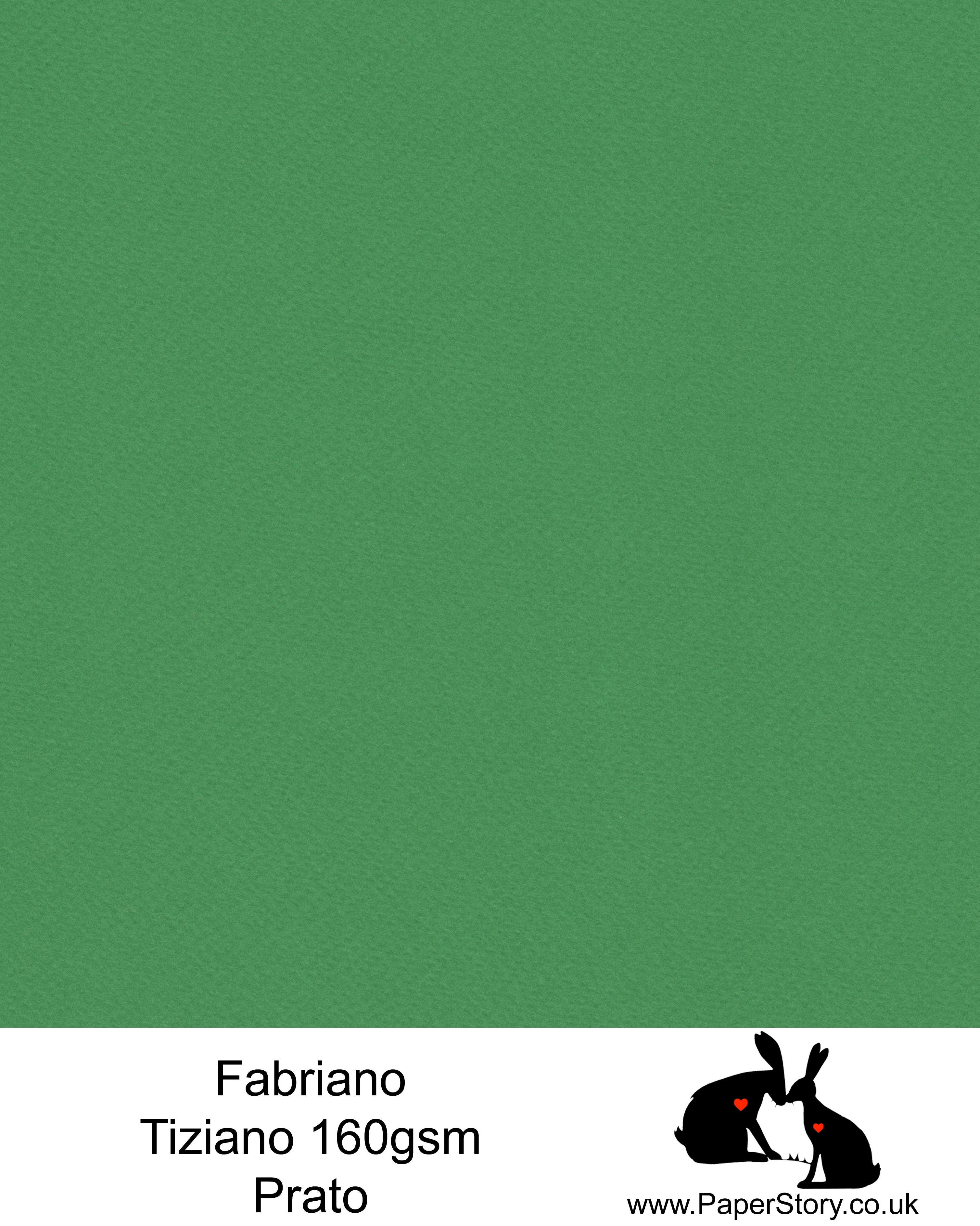 High quality paper from Italy, Prato fresh grass green Fabriano Tiziano is 160 gsm, Tiziano has a high cotton content, a textured naturally sized surface. This paper is acid free to guarantee long permanence in time, pH neutral. It has highly lightfast colours, an excellent surface making and sizing which make this paper particularly suitable for papercutting