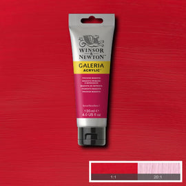 Winsor & Newton Galeria Acrylic Process Magenta 120ml