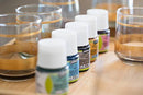 Pebeo mixed media glass paint discovery Set 12 x 20 mls Vitrea 160-2
