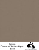 Canson Mi Teintes acid free, Sand, has hints of warm grey and brown palest pink almost white, hammered texture honeycomb surface paper 160 gsm. T