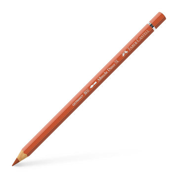Albrecht Dürer Artist Pencil Sanguine 188