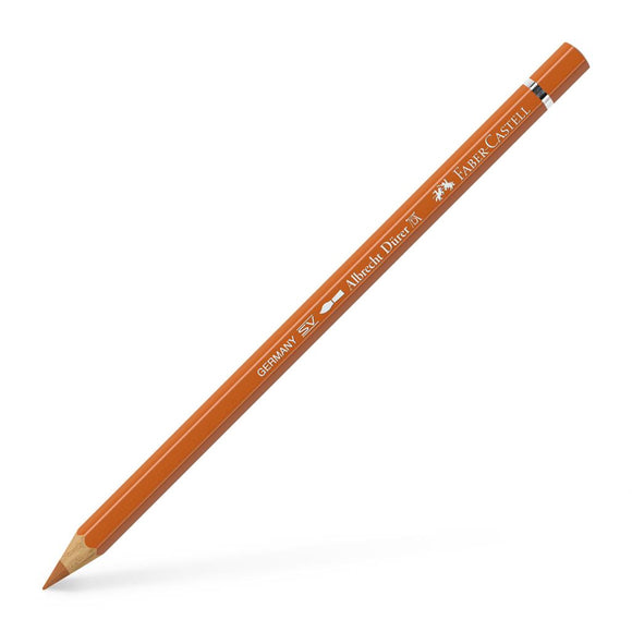 Albrecht Dürer Artist Pencil Terracotta 186