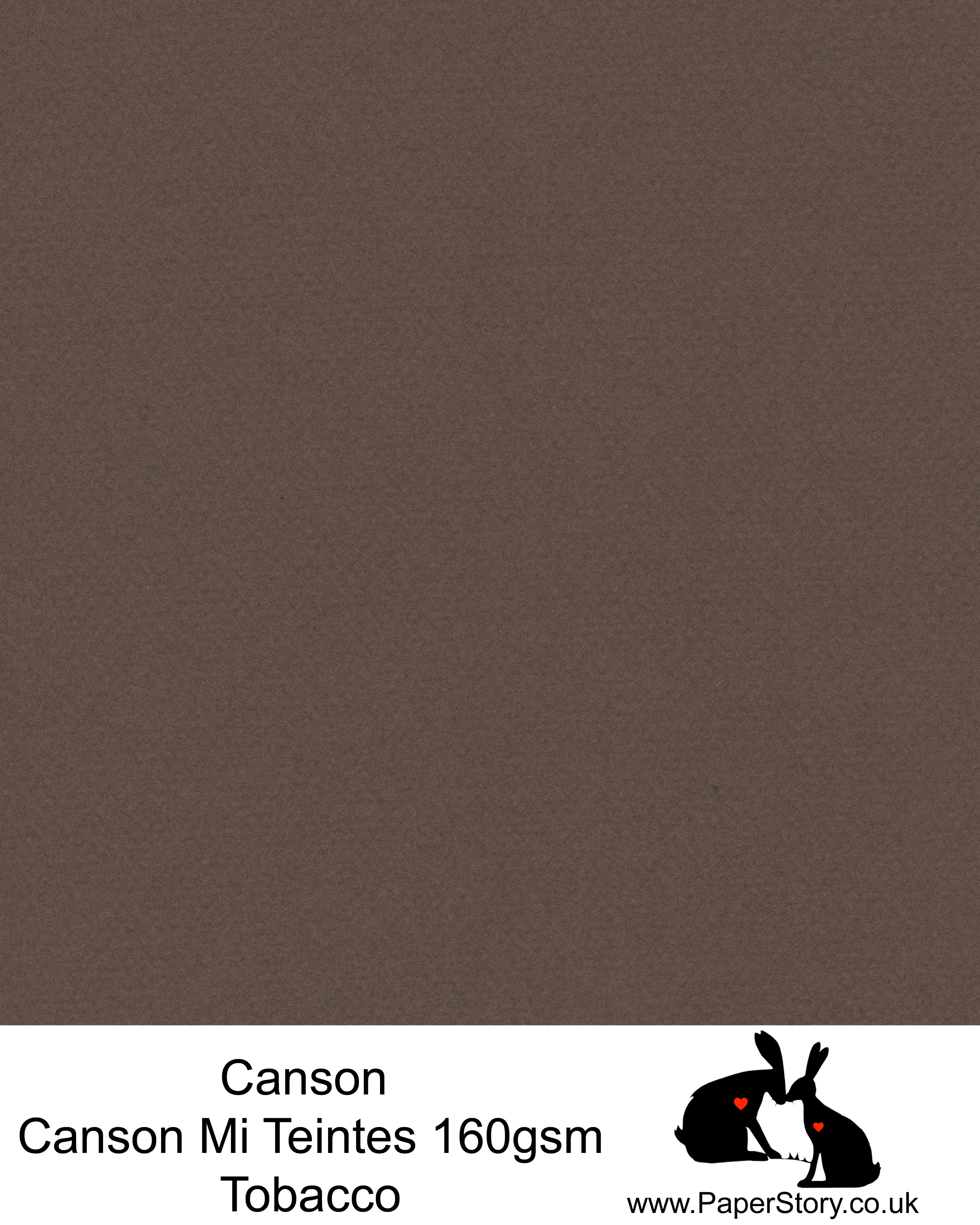 Canson Mi Teintes acid free, Red Brown hammered texture honeycomb surface paper 160 gsm. This is a popular and classic paper for all artists especially well respected for Pastel  and Papercutting made famous by Paper Panda. This paper has a honeycombed finish one side and fine grain the other. An authentic art paper, acid free with a  very high 50% cotton content. Canson Mi-Teintes complies with the ISO 9706 standard on permanence, a guarantee of excellent conservation 