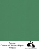 Canson Mi Teintes acid free, Viridian Green, hammered texture honeycomb surface paper 160 gsm. 