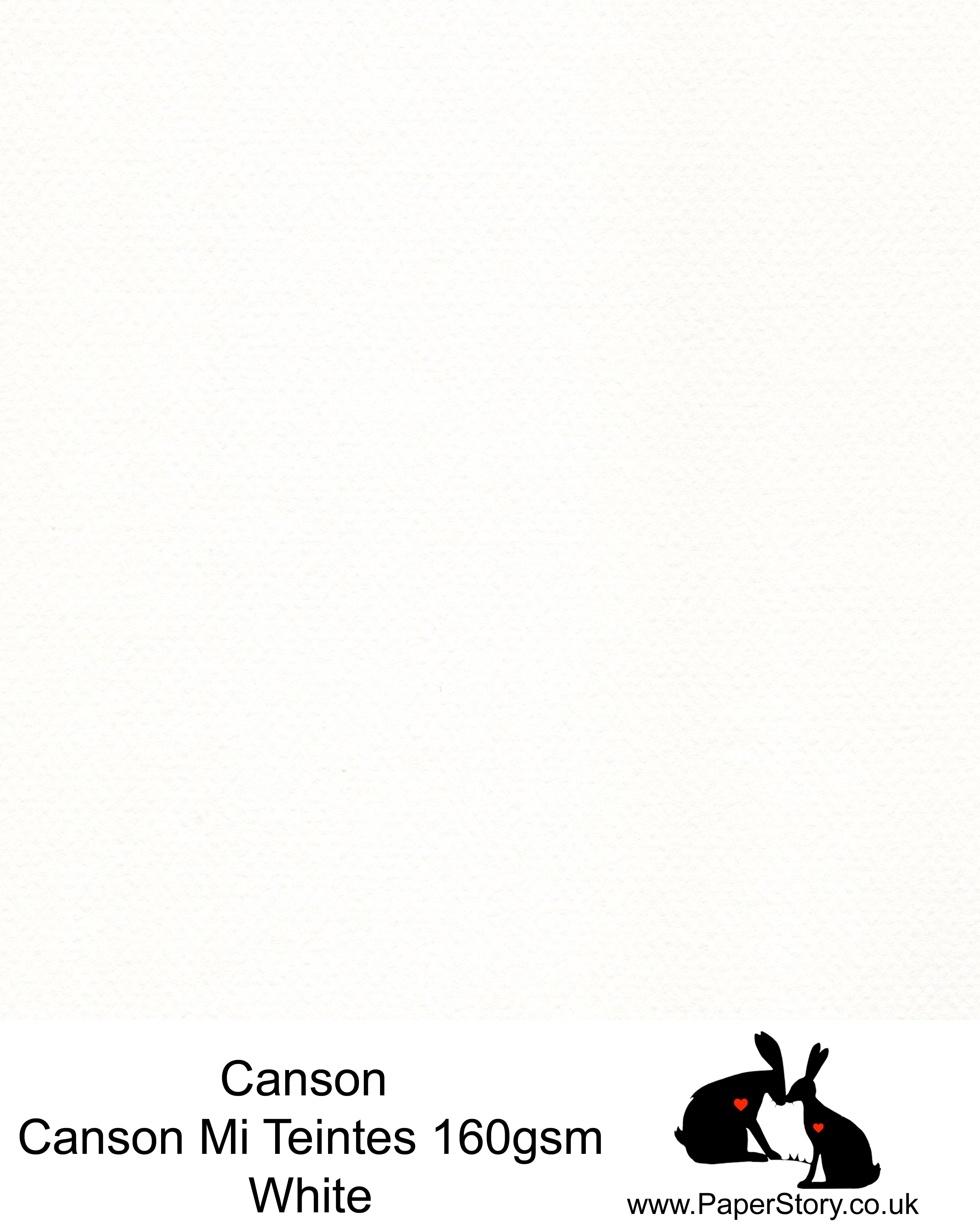 Canson Mi Teintes acid free, White The most popular white Papercutting Paper. This hammered texture honeycomb surface paper 160 gsm. This is a popular and classic paper for all artists especially well respected for Pastel  and Papercutting made famous by Paper Panda.