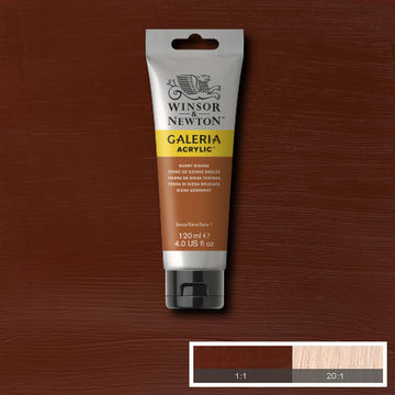 Winsor & Newton Galeria Acrylic Burnt Sienna 120 ml