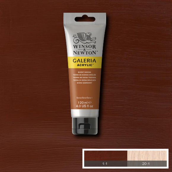 Winsor & Newton Galeria Acrylic Burnt Sienna 120 ml