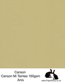 Canson Mi Teintes acid free, Anis pastel green, hammered texture honeycomb surface paper 160 gsm.