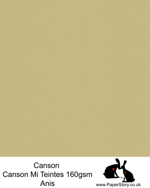 Canson Mi Teintes acid free, Anis pastel green, hammered texture honeycomb surface paper 160 gsm. This is a popular and classic paper for all artists especially well respected for Pastel  and Papercutting made famous by Paper Panda. This paper has a honeycombed finish one side and fine grain the other. An authentic art paper, acid free with a  very high 50% cotton content. Canson Mi-Teintes complies with the ISO 9706 standard on permanence, a guarantee of excellent conservation  