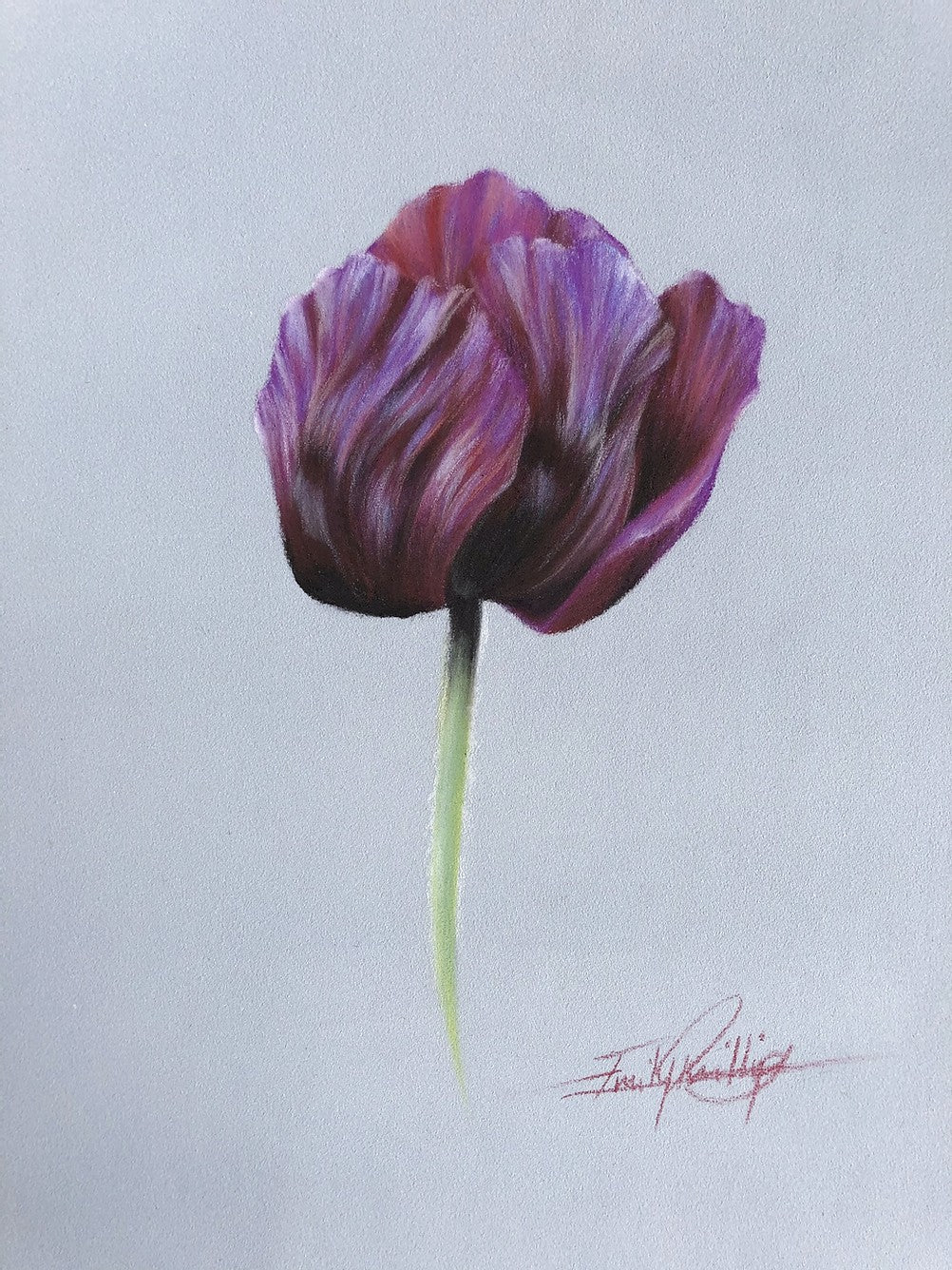 Artist Pencils to accompany Emily Rose Free Poppy Flower