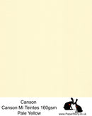 Canson Mi Teintes acid free, hammered texture honeycomb surface paper 160 gsm. This is a popular and classic paper for all artists especially well respected for Pastel  and Papercutting made famous by Paper Panda. This paper has a honeycombed finish one side and fine grain the other. An authentic art paper, acid free with a  very high 50% cotton content. Canson Mi-Teintes complies with the ISO 9706 standard on permanence, a guarantee of excellent conservation  