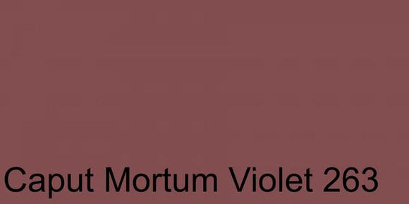 Polychromos Artist Pencil Caput Mortuum Violet 263