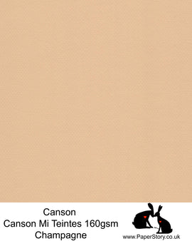Canson Mi Teintes acid free, Champagne, ivory beige hammered texture honeycomb surface paper 160 gsm. This is a popular and classic paper for all artists especially well respected for Pastel  and Papercutting made famous by Paper Panda. This paper has a honeycombed finish one side and fine grain the other. An authentic art paper, acid free with a  very high 50% cotton content. Canson Mi-Teintes complies with the ISO 9706 standard on permanence, a guarantee of excellent conservation 
