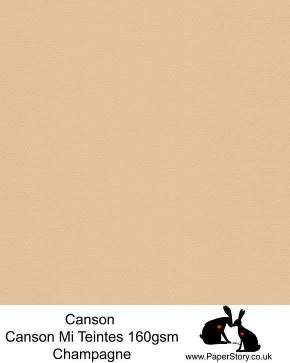 Canson Mi Teintes acid free, Champagne, ivory beige hammered texture honeycomb surface paper 160 gsm. This is a popular and classic paper for all artists especially well respected for Pastel  and Papercutting made famous by Paper Panda. This paper has a honeycombed finish one side and fine grain the other. An authentic art paper, acid free with a  very high 50% cotton content. Canson Mi-Teintes complies with the ISO 9706 standard on permanence, a guarantee of excellent conservation 