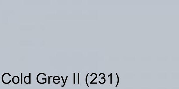 Polychromos Artist Pencil Cold Grey II (231)