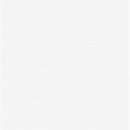 Derwent Drawing Chinese White 7200. Soft, creamy pencils ideal for wildlife drawings, nature studies and portraiture. This white pencil works beautifully over Panpastel to create highlights, especially popular with wildlife artists.