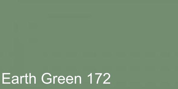 Polychromos Artist Pencil Earth Green 172