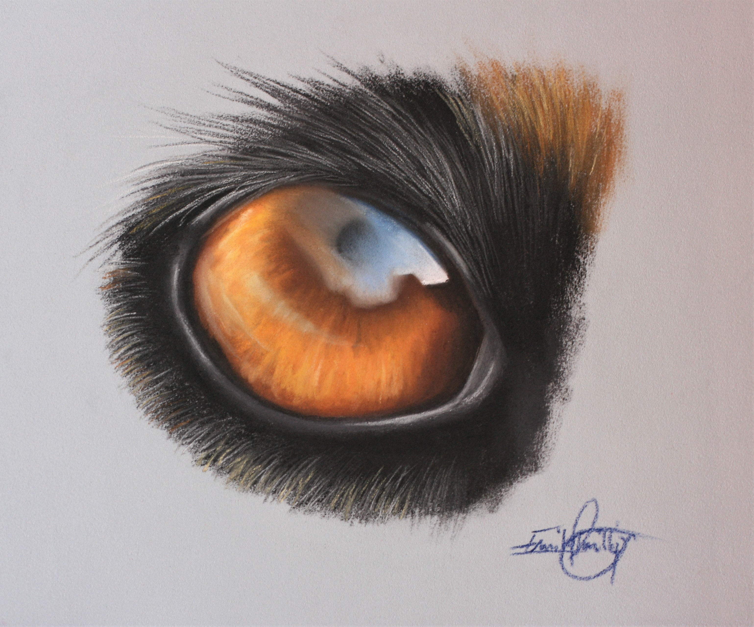 Artist Pencils to accompany Emily Rose Free Dogs Eye tutorial
