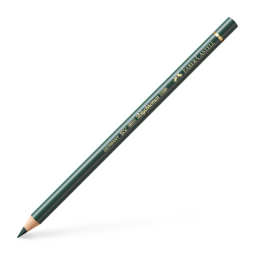 Polychromos Artist Pencil Juniper Green 165
