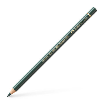Polychromos Artist Pencil Juniper Green 165