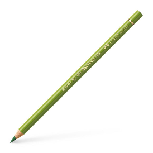 Polychromos Artist Pencil Earth Green Yellowish 168