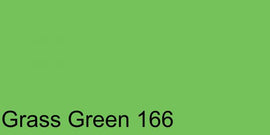 Polychromos Artist Pencil Grass Green 166
