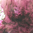 PaperArtsy Infusions dye colour crystals creative paints-25