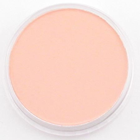 PanPastel 30203 set of 20 Pans & Sofft Tools Portrait Set