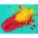 Winsor & Newton Professional Watercolour Metal Sketchers Box x 24 Half Pans-4